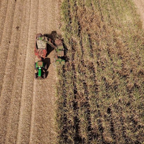 Paraná lidera crescimento da atividade econômica entre os estados no 1º semestre de 2025