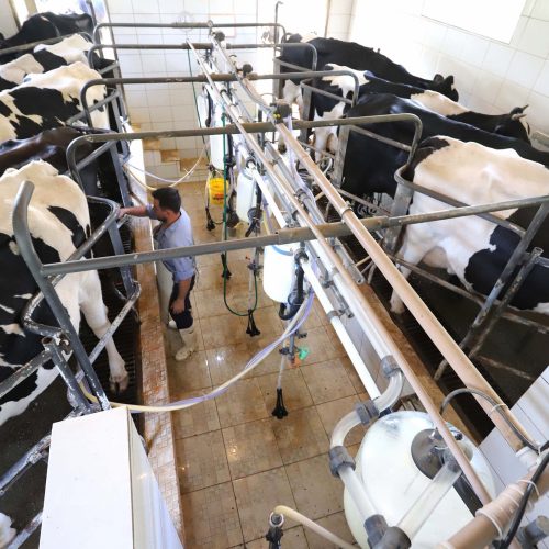 Paraná regulamenta lei que proíbe reconstituição de leite em pó importado