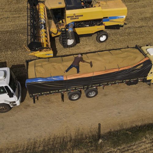 Paraná tem maior aumento do País na estimativa de produção de grãos em novembro