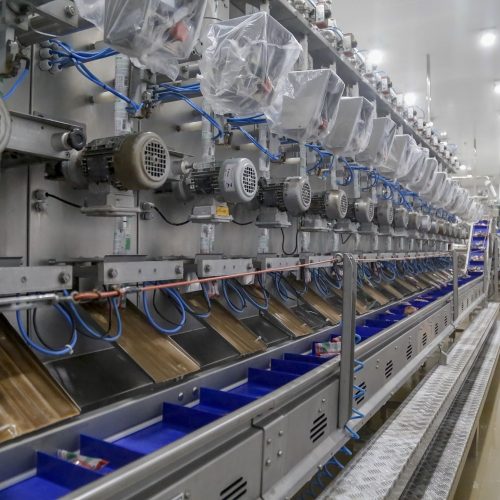 Mais de 300 cidades do Paraná registraram saldo positivo na geração de empregos em 2025