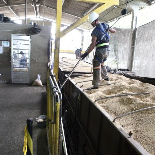 IDR-PR garante qualidade da soja, farelo e milho embarcados no Porto de Paranaguá