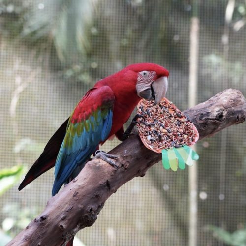 Páscoa é oportunidade para fazer turismo e conhecer os atrativos do Paraná