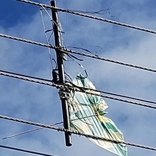 Proibido por lei no Paraná, cerol de pipas corta linhas de energia e põe vidas em risco