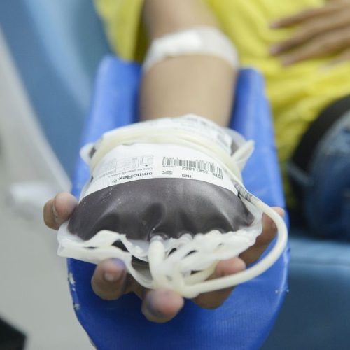 Portaria libera doação de sangue de pessoas com mais de 70 anos