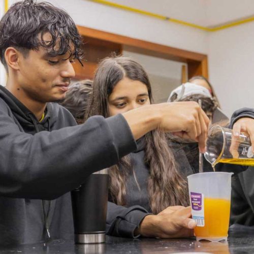 Governo do Paraná amplia oferta de cursos de graduação nas universidades estaduais
