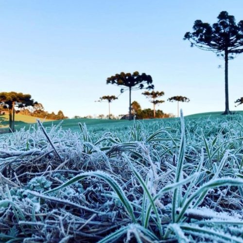 Geada e temperaturas abaixo de 0°C atingem a região Sul
