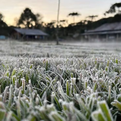 Geada marca o amanhecer em Carambeí