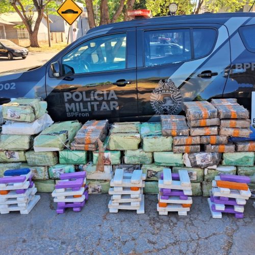 PMPR apreende 1 tonelada de maconha no PR: prejuízo ao crime é de R$ 2 milhões
