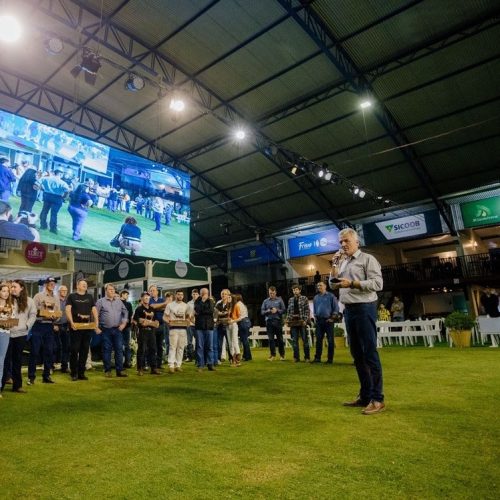 ExpoFrísia 2026 acontece entre os dias 12 e 14 de novembro em Carambeí