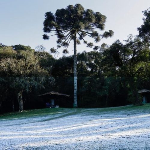 Nova onda de frio mantém manhãs ‘congelantes’ no Sul do Brasil