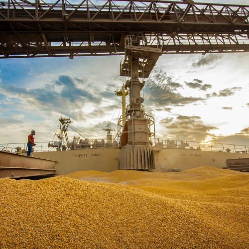 Com crescimento de 77% em 2024, Paraná ocupa segundo lugar nas exportações de milho