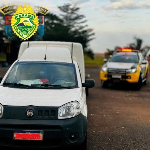 Homem é preso transportando ilegalmente 37 animais; ele havia pego em Carambeí