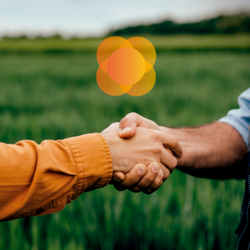 Cooperar para prosperar: Cresol inicia remuneração de juros aos cooperados