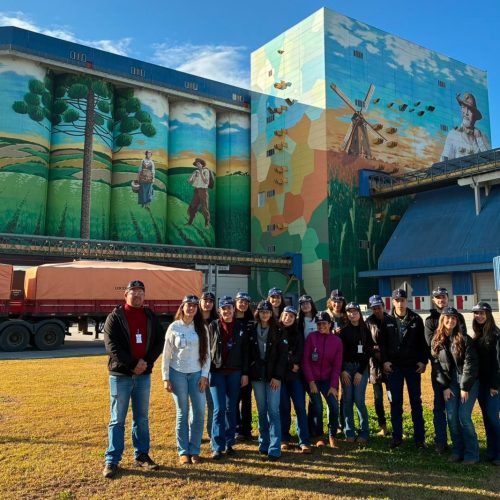 Prêmio Paranaense de Ciência tem 72 classificados para etapa estadual