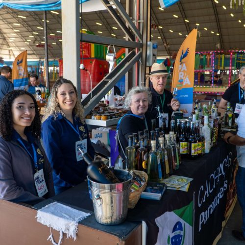 Atrações para toda família: Festival da Primavera agita Castro; evento segue domingo