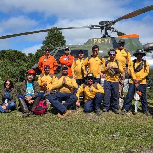 IAT e Iniciativa Campos Gerais limpam 15 hectares do Parque Pico Paraná