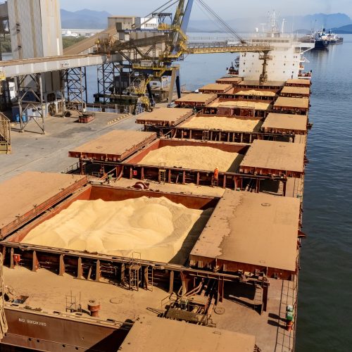 Porto de Paranaguá lidera exportação de soja e amplia de farelo e proteínas animais