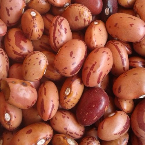 Excesso de chuvas causa aumento no preço do feijão