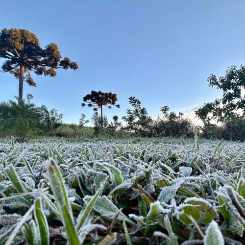 Primeira onda de frio chega ao Paraná semana que vem com termômetros perto de 0ºC