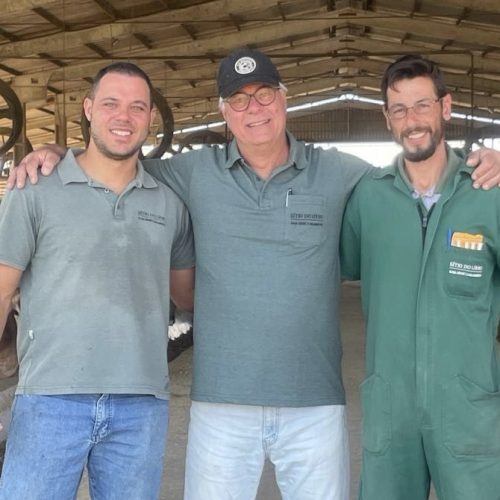 Maior criador de jersey do Brasil é de Carambeí 