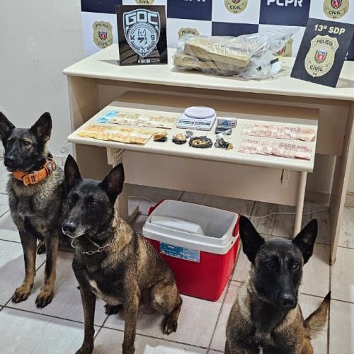 Polícia prendem três pessoas em operação contra o tráfico na região