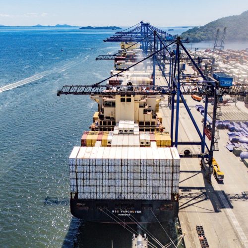 Exportações paranaenses de proteínas animais avançam 5,4% no 1º trimestre de 2026