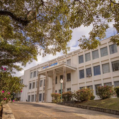 UEPG ofertará 105 novas vagas em 12 cursos para ingresso na graduação em 2025