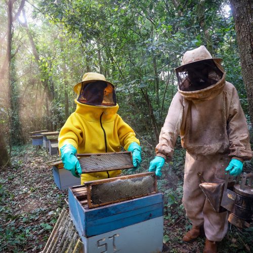 Paraná chega aos melhores resultados da história em atividades da agropecuária