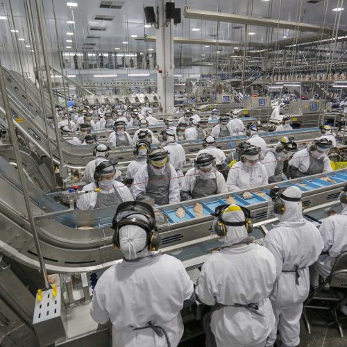 Mercado de empregos aquecido: Paraná tem 23,1 mil vagas abertas nessa semana