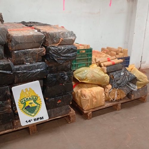 PMPR apreende mais de 880 quilos de maconha em área de mata no PR