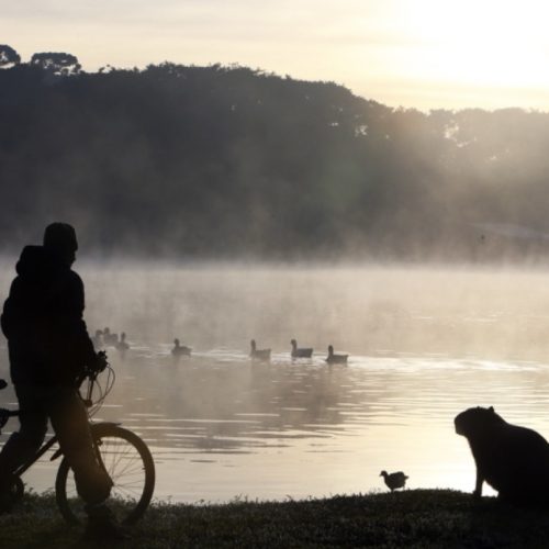 Simepar indica frio rigoroso no fim de semana, com temperaturas negativas no Sul do Estado