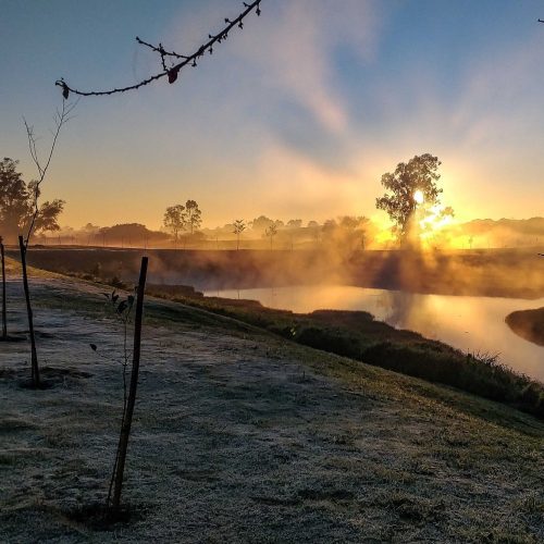 Geada dá as caras nas cidades, mas frio deve diminuir nos próximos dias no Paraná
