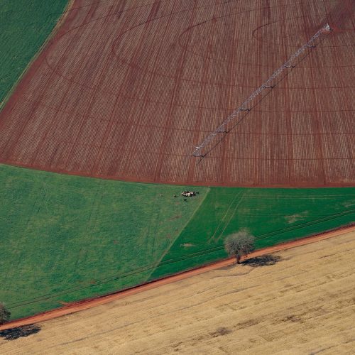 PIB do Paraná cresce acima de países da Europa no 1º semestre do ano