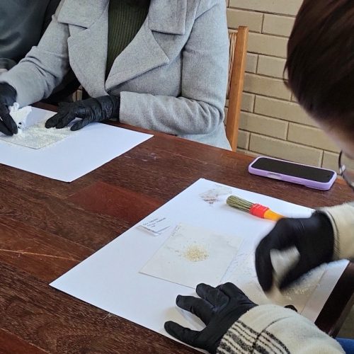 Museu Parque Histórico de Carambeí promove&nbsp;Oficina de&nbsp;Conservação de&nbsp;Fotografias