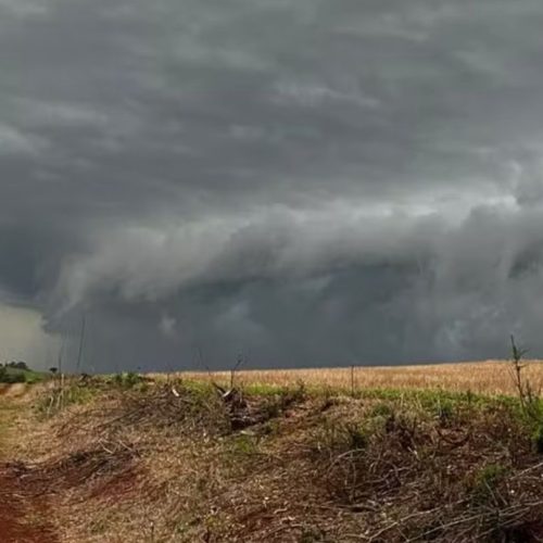 Defesa Civil alerta para risco de temporais no Paraná com ventos fortes