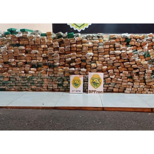 PMPR apreende 751 kg de maconha em fiscalização de um caminhão&nbsp;no PR