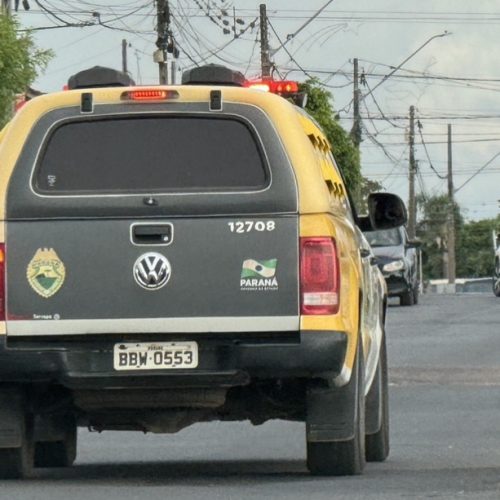 Filho agride mãe de 62 anos em Carambeí