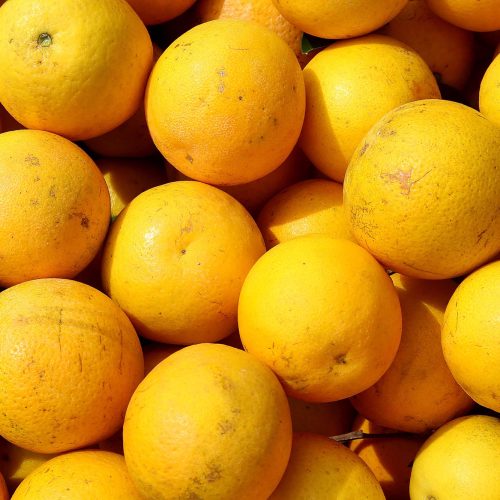 Hortigranjeiros do Paraná estão com preços mais acessíveis ao consumidor no começo de 2026