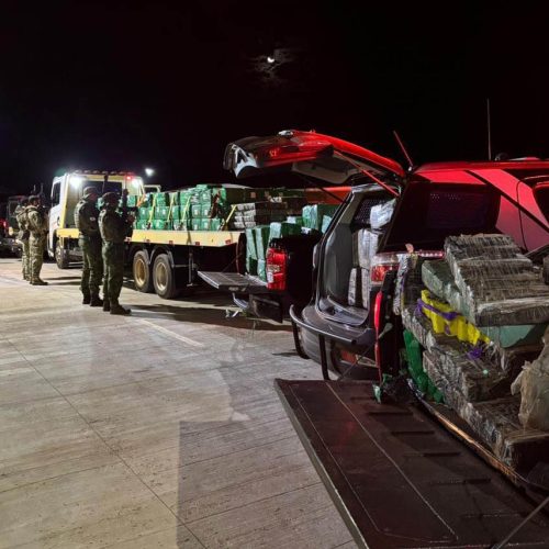 Combate ao tráfico na mata: PM apreende 8,5 toneladas de maconha&nbsp;no PR