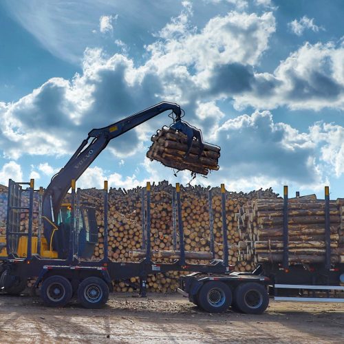 Com alta de 20,7%, Paraná consolida vice-liderança no valor da produção florestal