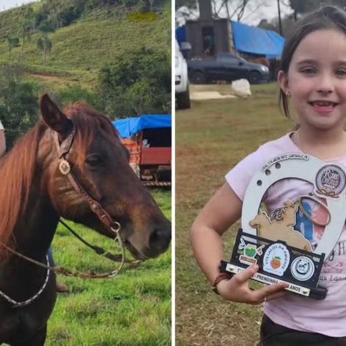 Criança de 9 anos morre após cair de cavalo&nbsp;no PR