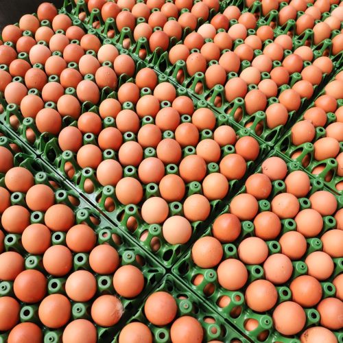 Preços de alimentos e bebidas caem pelo segundo mês consecutivo no Paraná