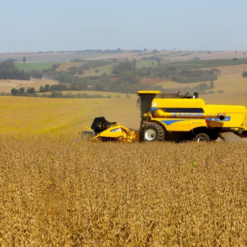 Safra de Soja do Paraná se aproxima do recorde e reforça otimismo, aponta Deral