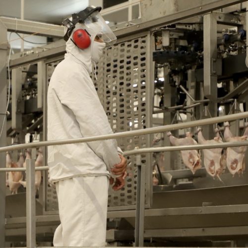 Perto do bilhão: vendas de empresas do Paraná para outros estados crescem 211% em sete anos