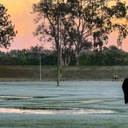 Paraná tem geada e registra temperatura mais baixa do ano até o momento