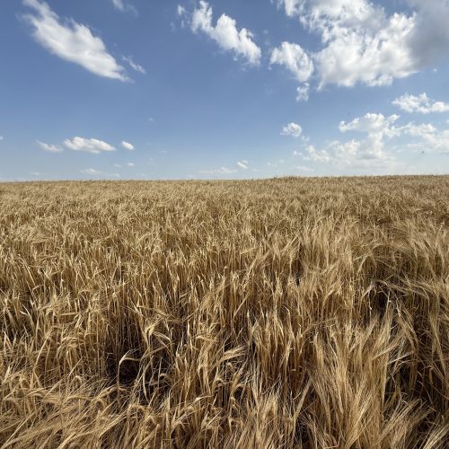 Com nova frente fria, primavera mantém alternância entre chuva, sol e ventos fortes no Paraná