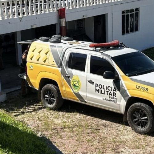 Embriagado, homem ameaça filhos em Carambeí
