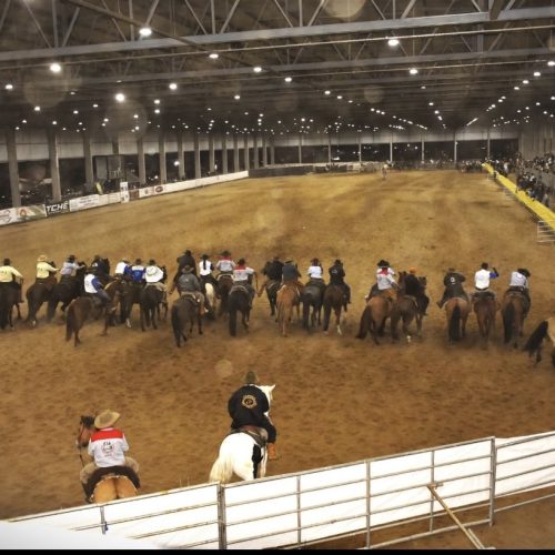 XXVII Rodeio Crioulo Interestadual deve reunir mais de 50 CTGs entre 03 e 05 de outubro