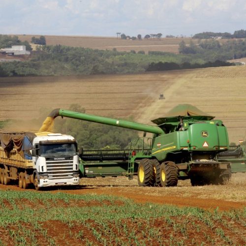 Soja e milho impulsionam Paraná com estimativa de 39,1 milhões de toneladas