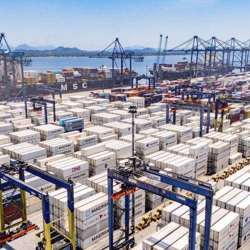 Paranaguá responde por 65% do crescimento das exportações brasileiras de frango congelado
